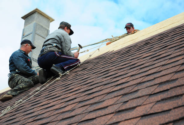 Best Roof Gutter Cleaning  in Alcoa, TN